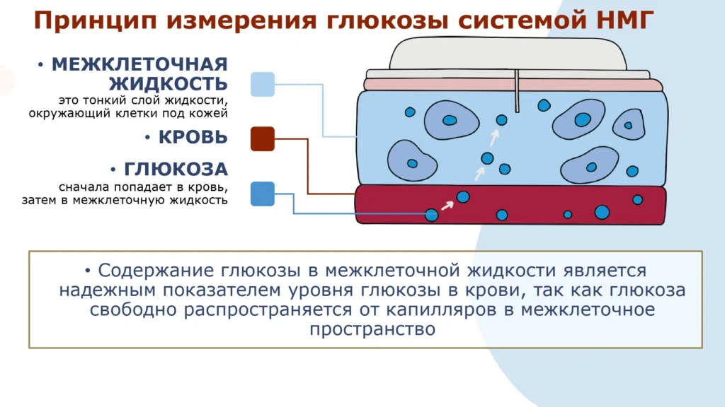  Анафилаксия Инородное тело Кровотечение Остановка дыхания Отравление и др_page-0026